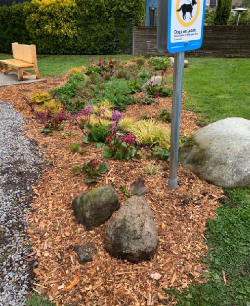 New garden and Chat bench