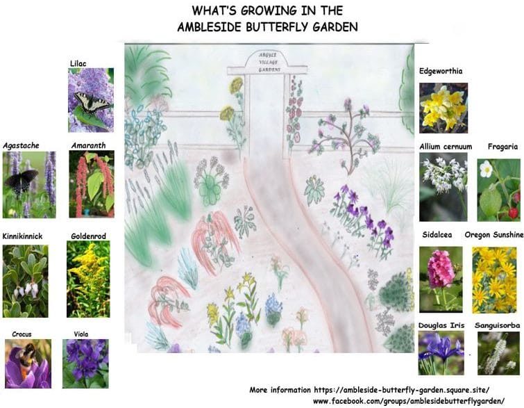 Garden Plan