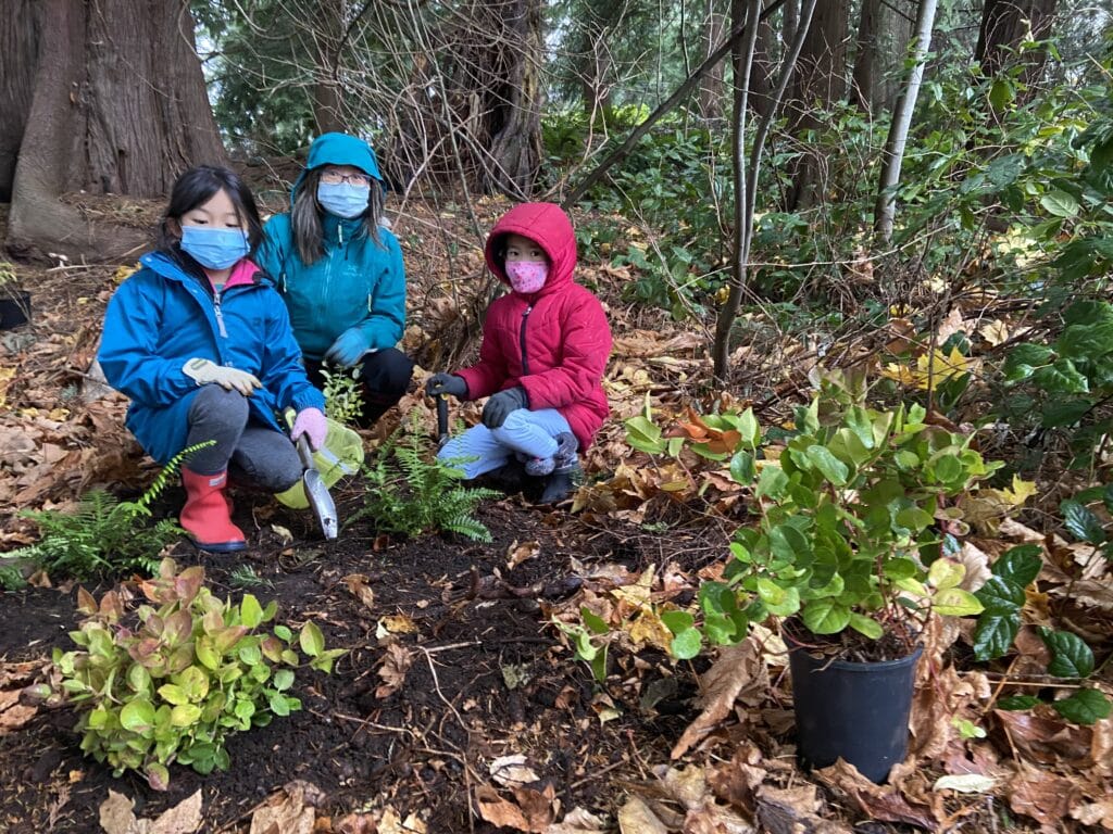 Girl Guides planting native plants. "Girl  Guides were so thrilled to receive a grant to help with this project. " Daphne